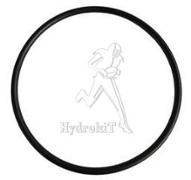 O-Ring DI=110;S=5 Airsem