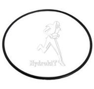 O-Ring Viton 101,3 x 2,6