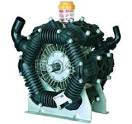 Kolbranpumpe Bertolini P2260VD 260 Ltr. mit Ölschauglas, Duramax Membranen