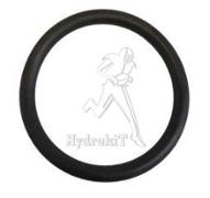 O-Ring 40x4,5 für Ventil Bertolini
