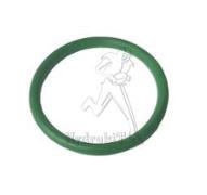O-Ring 2,62x25,07 mm Viton