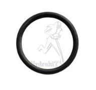 O-Ring 25x2,5