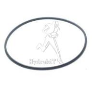 JOINT TORIQUE VITON 101.27X2.6